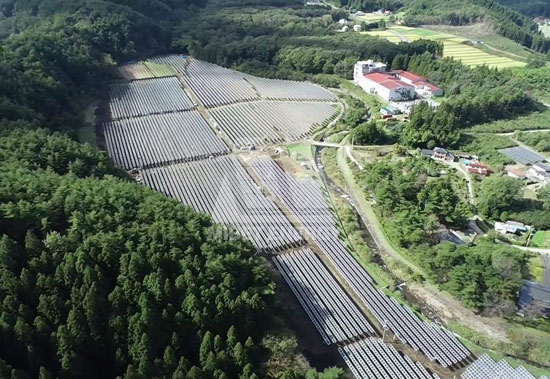 春回大地，leyu.com见证日本福岛重焕生机